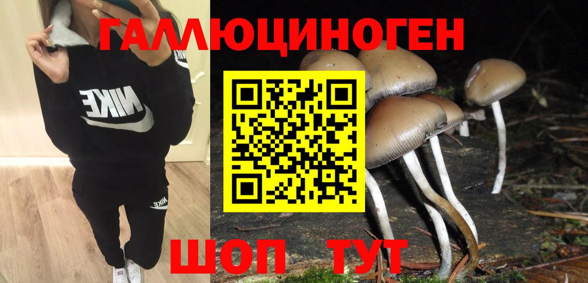 Медногорск  Псилоцибиновые грибы мухоморы  Вход с VPN 
